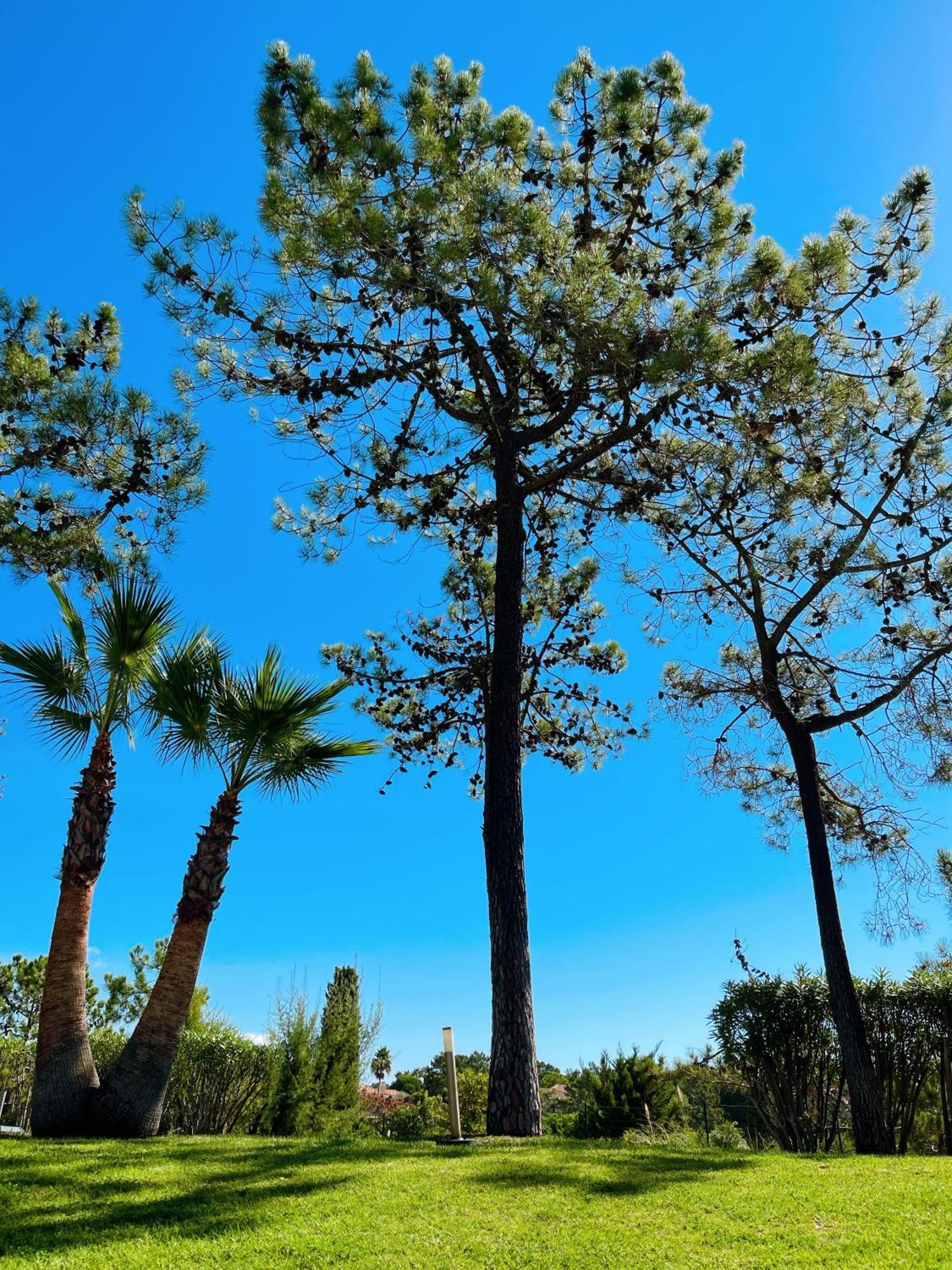 Scarlet'S Place - 1 Bed Victory Village Quinta Do Lago - Beach, Nature, Lakes Exteriér fotografie